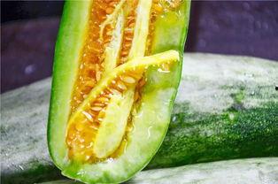 吃瓜网红图片高清壁纸,高清壁纸中的吃瓜瞬间