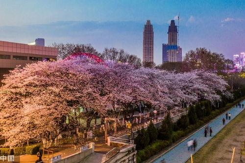 吃瓜爆料抖音福利,揭秘热门事件幕后真相！