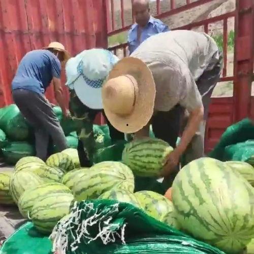 盐城网红吃瓜群众图片,街头热辣瞬间，揭秘网红生活点滴