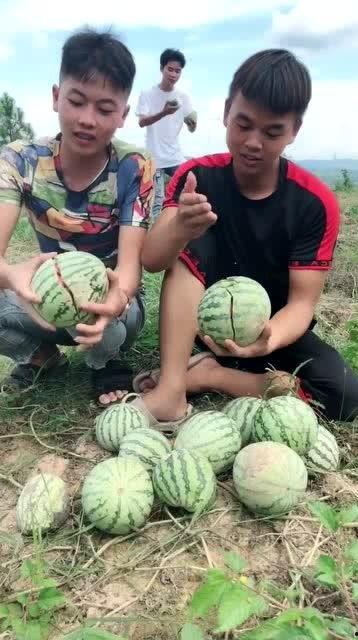 农村姑娘吃网红瓜,揭秘乡村女孩的时尚生活