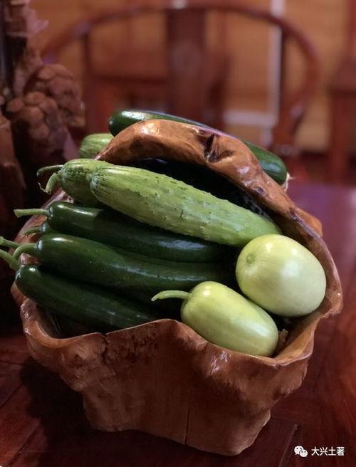 网红富贵闲人吃瓜,揭秘网红圈幕后故事