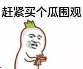 吃瓜群众是大佬小说百度云,大佬小说中的百度云传奇